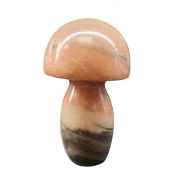 Champignon marbre