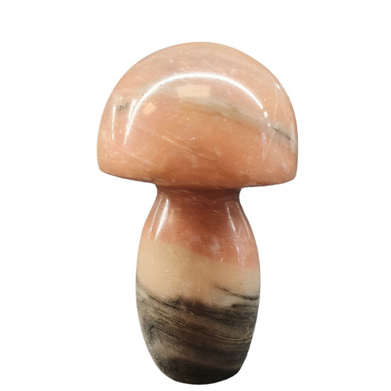 mushroom marble