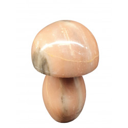 Champignon marbre