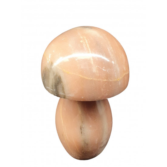 mushroom marble