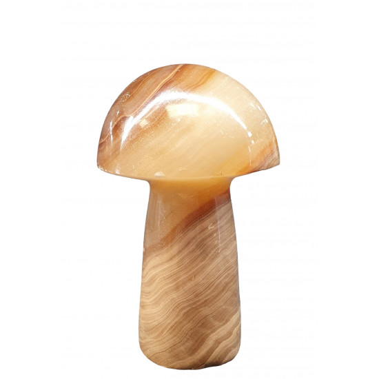 mushroom aragonite onyx