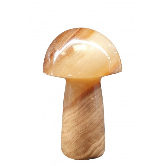 mushroom aragonite onyx