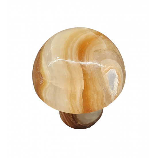 mushroom aragonite onyx