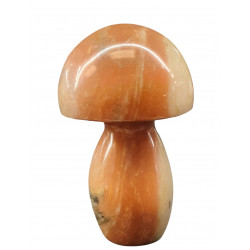 Champignon marbre