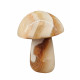 mushroom aragonite onyx