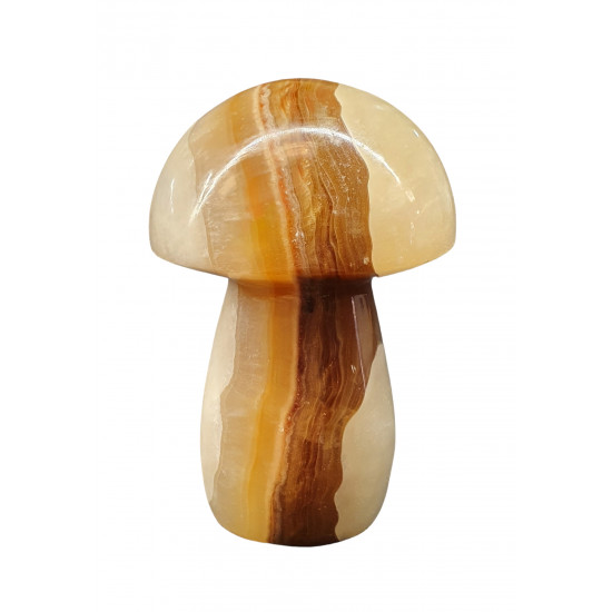 mushroom aragonite onyx
