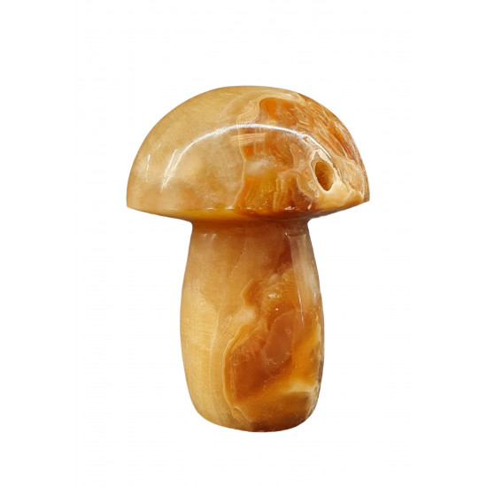 mushroom aragonite onyx