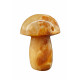 mushroom aragonite onyx