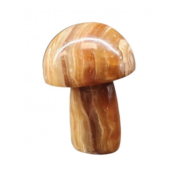 mushroom aragonite onyx