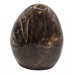 Black Moonstone Free Form