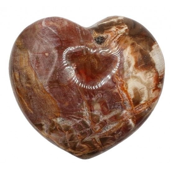 Petrified wood Heart