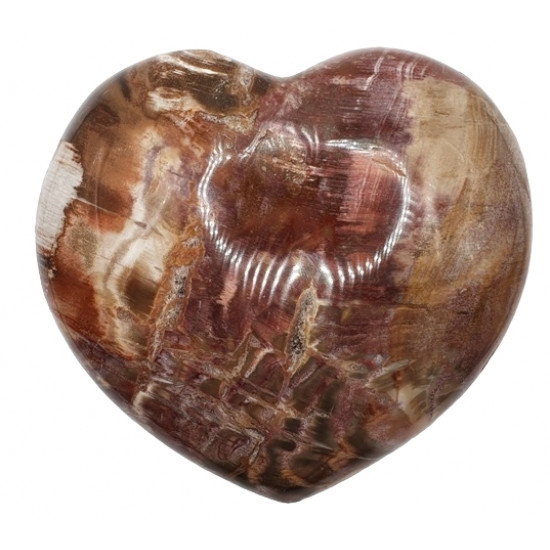 Petrified wood Heart