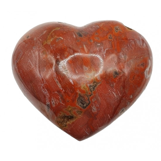 Petrified wood Heart