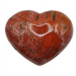 Petrified wood Heart