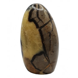 Yellow Septarian Free Form