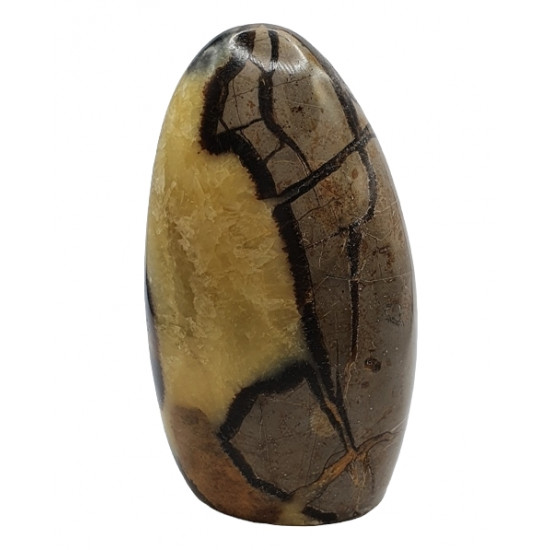 Yellow Septarian Free Form