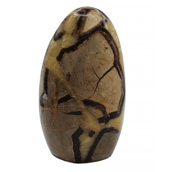 Yellow Septarian Free Form