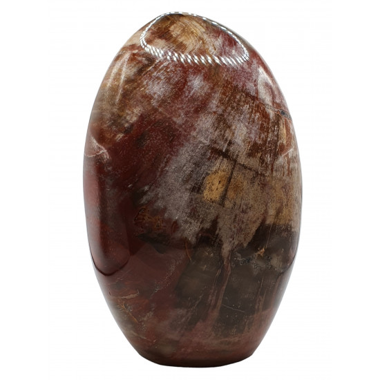 Petrified Wood Free Form