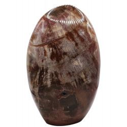Petrified Wood Free Form