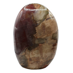 Petrified Wood Free Form