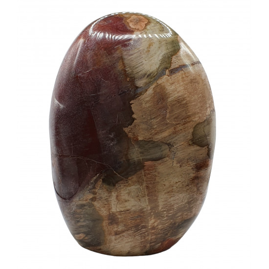 Petrified Wood Free Form