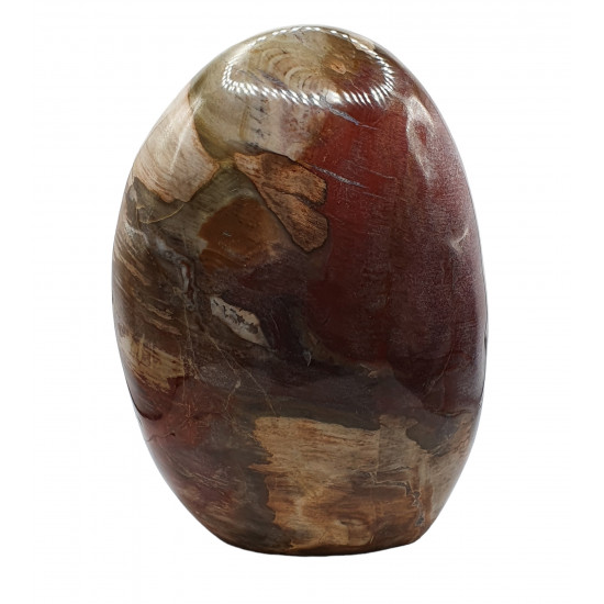 Petrified Wood Free Form