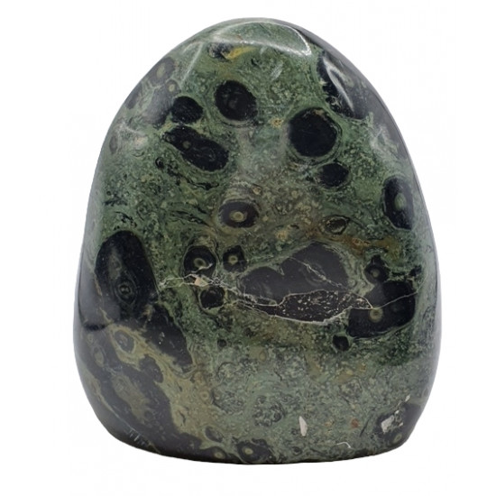 Kambaba Jasper Free Form