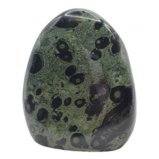 Kambaba Jasper Free Form