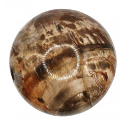 Petrified Wood Sphere
