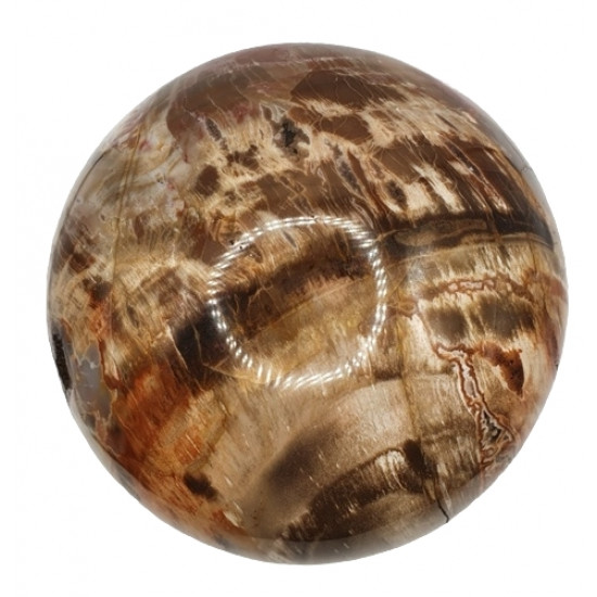 Petrified Wood Sphere