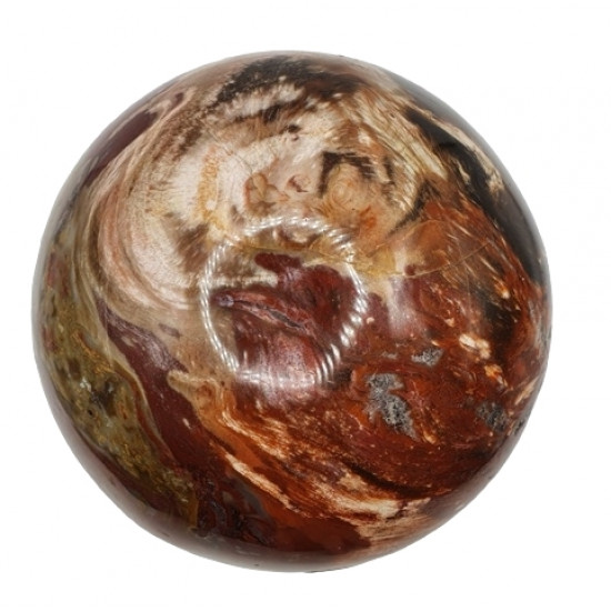 Petrified Wood Sphere