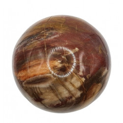 Petrified Wood Sphere
