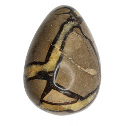 Yellow Septarian egg