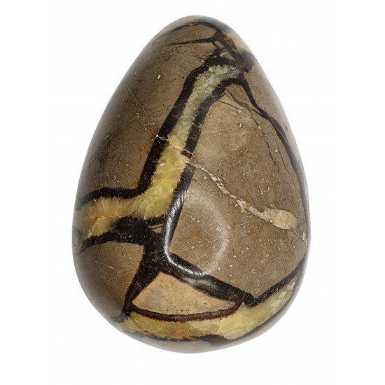 Yellow Septarian egg