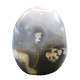 Orca Agate Free Form