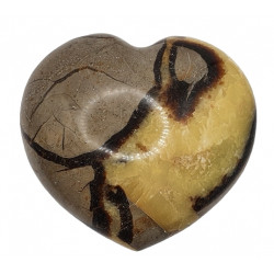 coeur septaria