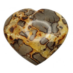 coeur septaria