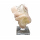 apophyllite on stilbite