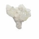 apophyllite and morderite