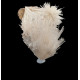 Mesolite 