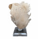 Mesolite 