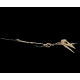 Phosphatodraco mauritanicus (Pterosaure)