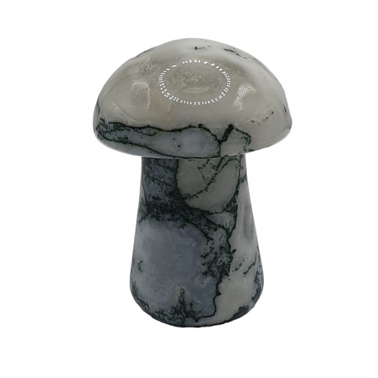 Mushroom tree agate 5 cm