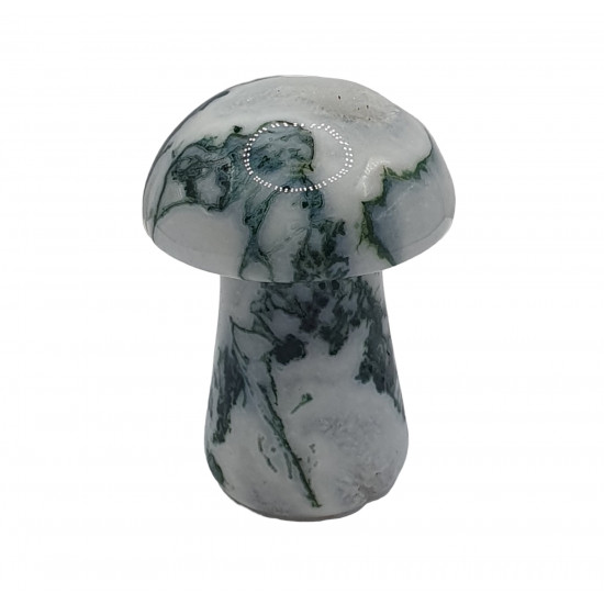 Mushroom tree agate 5 cm
