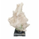 green apophyllite on scolecite