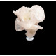 apophyllite on stilbite