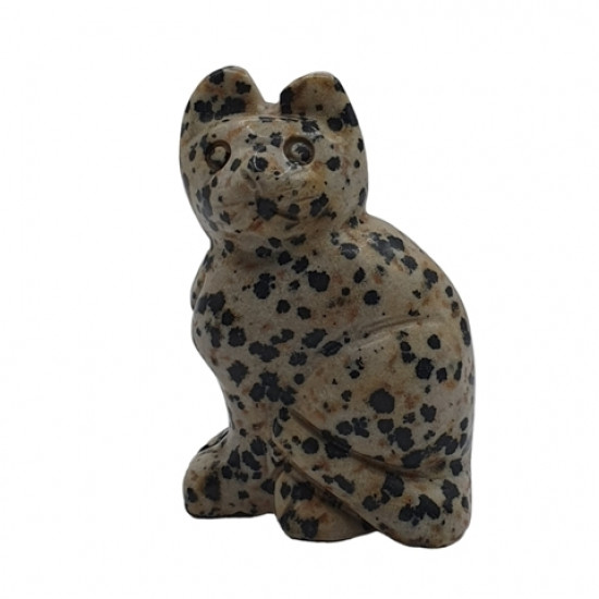 Cat dalmatian jasper