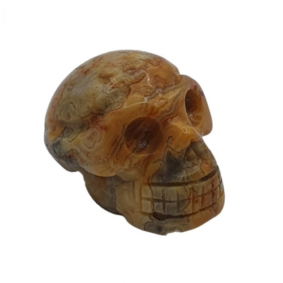 Skull crazy lace agate