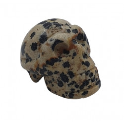 Skull dalmatian jasper