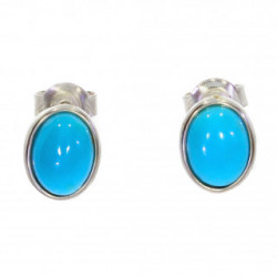 Sterling Silver Turquoise Earrings E-18-02
